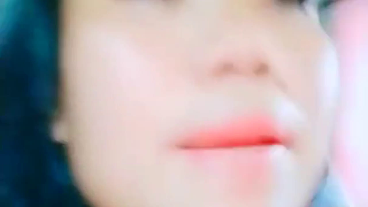 Sugar Penyu Hutan 14 7 2021